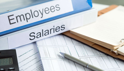 Determine a reasonable salary for a corporate business owner