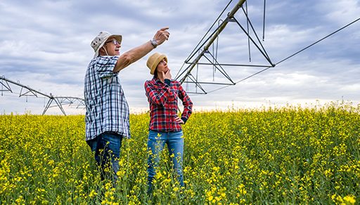 Prepare a successor to lead your family business